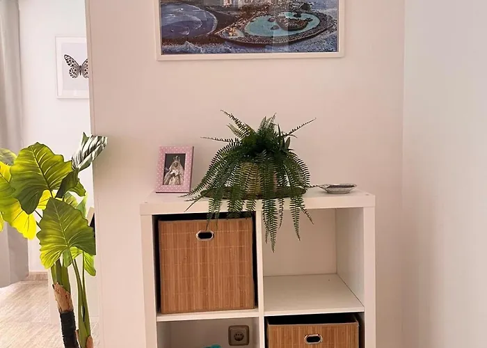 Cocohomes Casa Amelia 2 プエルト・デ・ラ・クルス